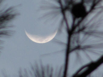 moon eclisp by Master Hughes